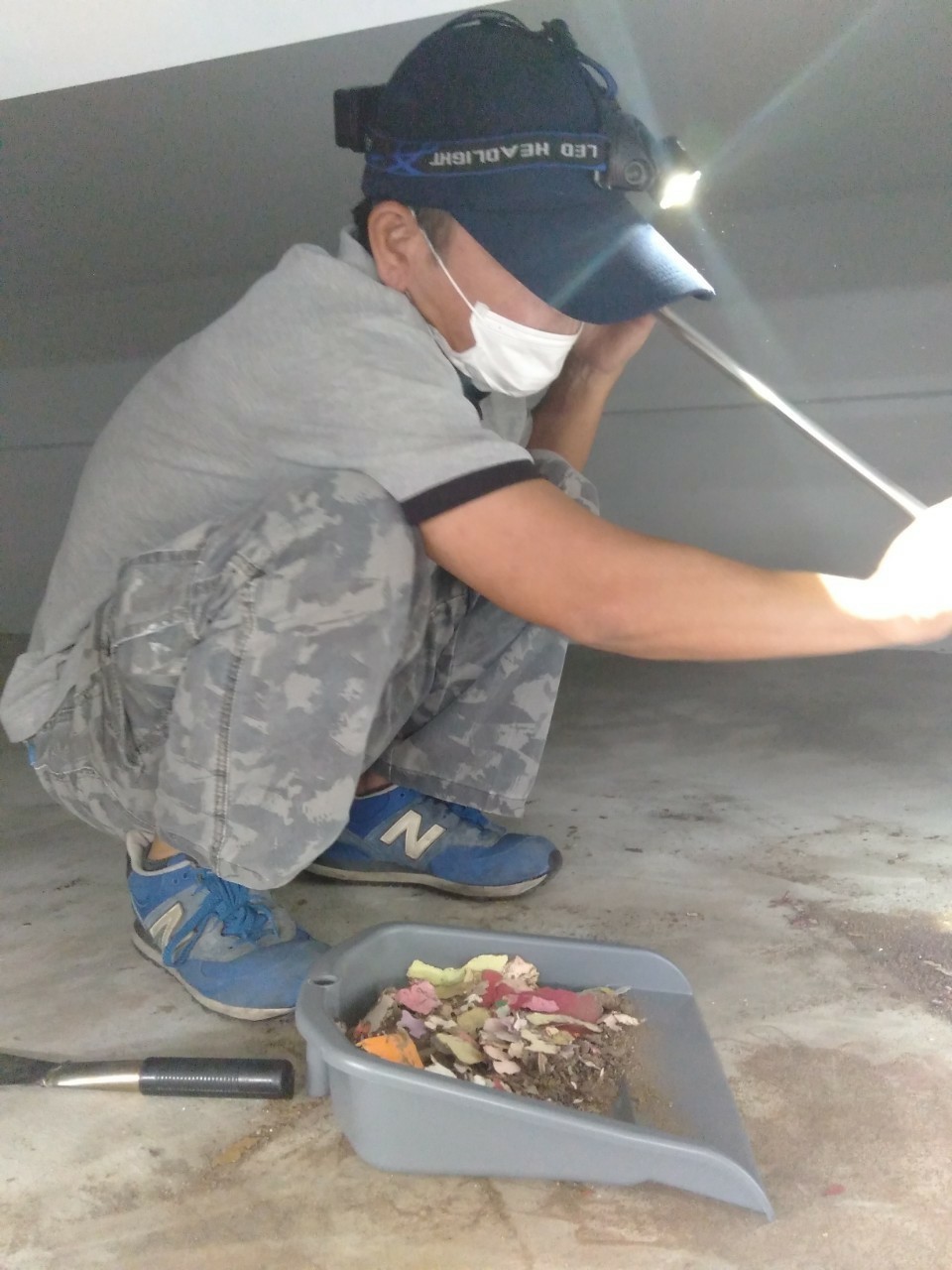 除白蟻案例&nbsp;