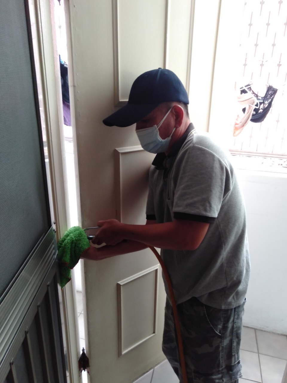 除白蟻案例&nbsp;