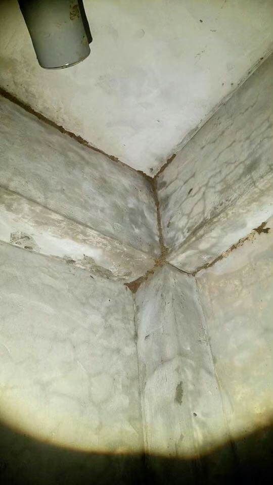 除白蟻案例&nbsp;