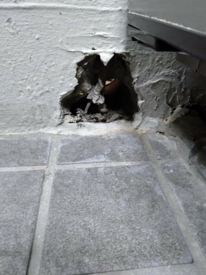 鼠害入侵點封補作業