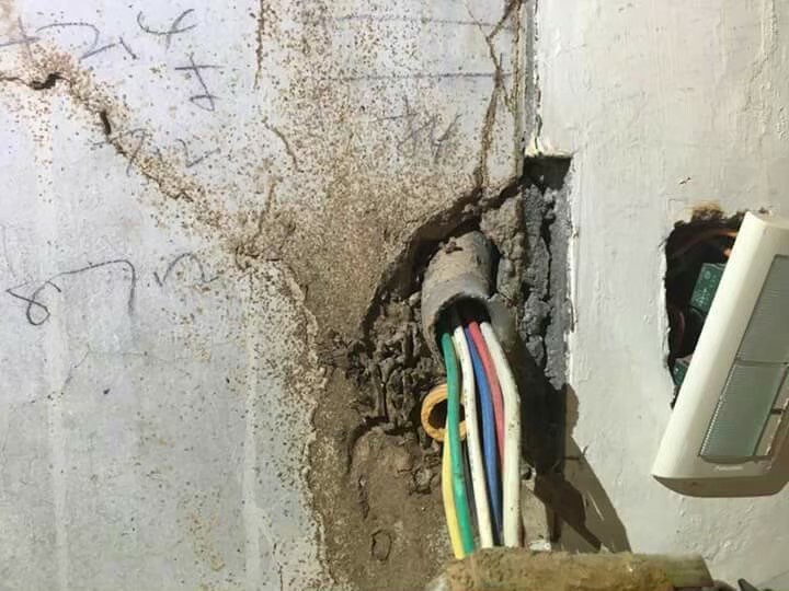 除白蟻案例&nbsp;