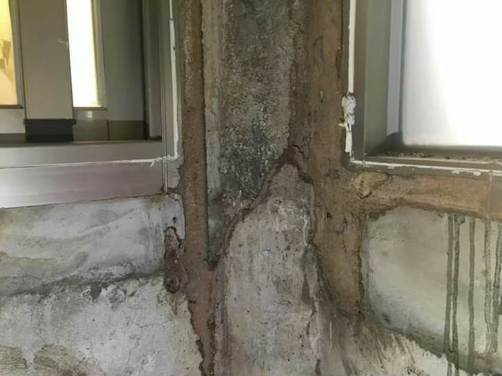 除白蟻案例&nbsp;