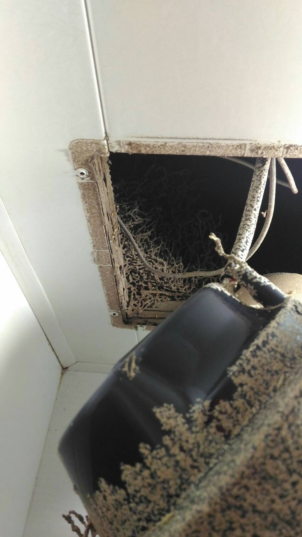 除白蟻案例&nbsp;