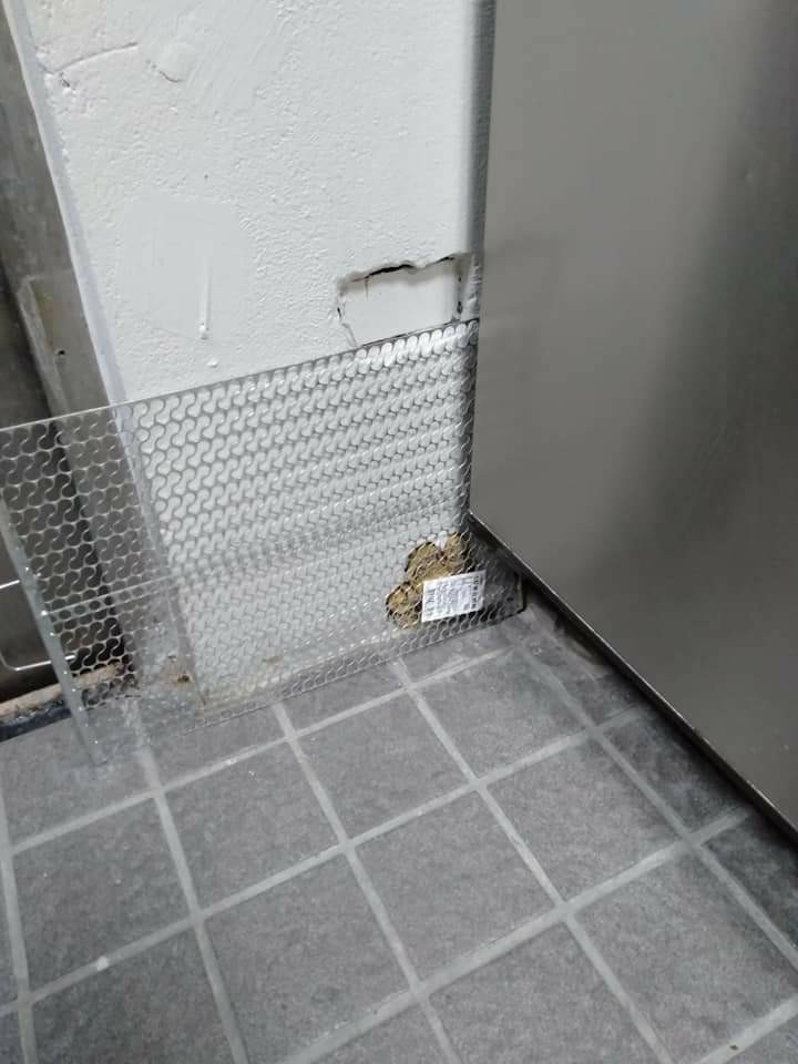 鼠害入侵點封補作業