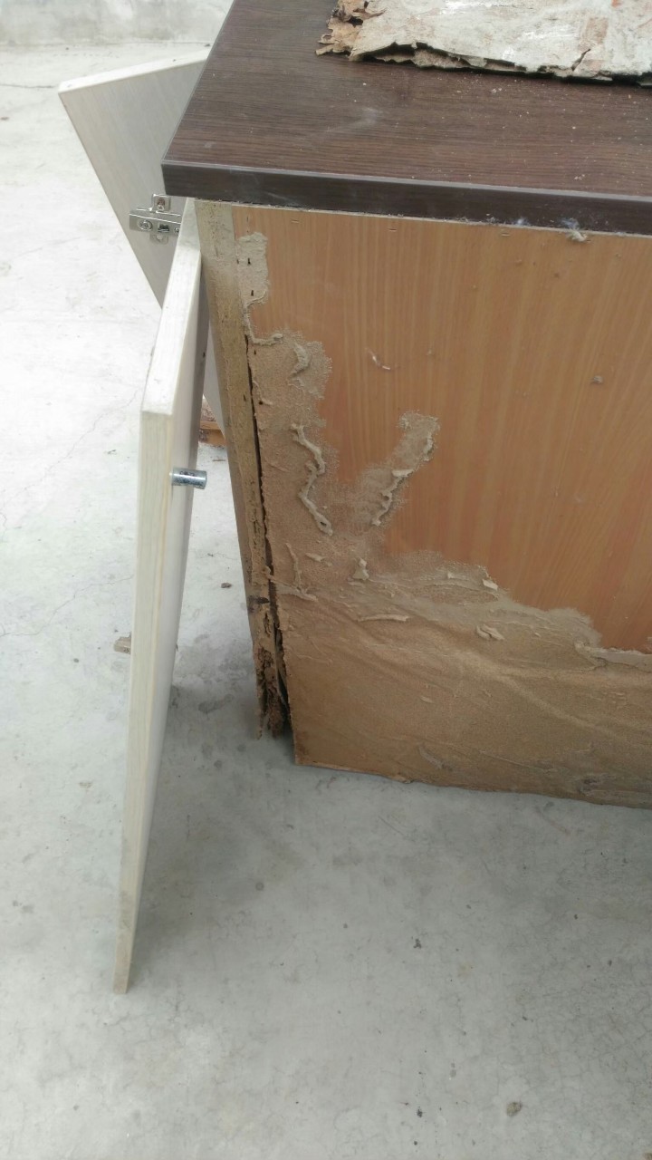 除白蟻案例&nbsp;