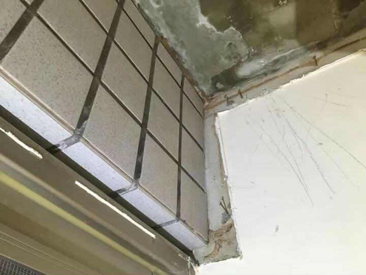 除白蟻案例&nbsp;