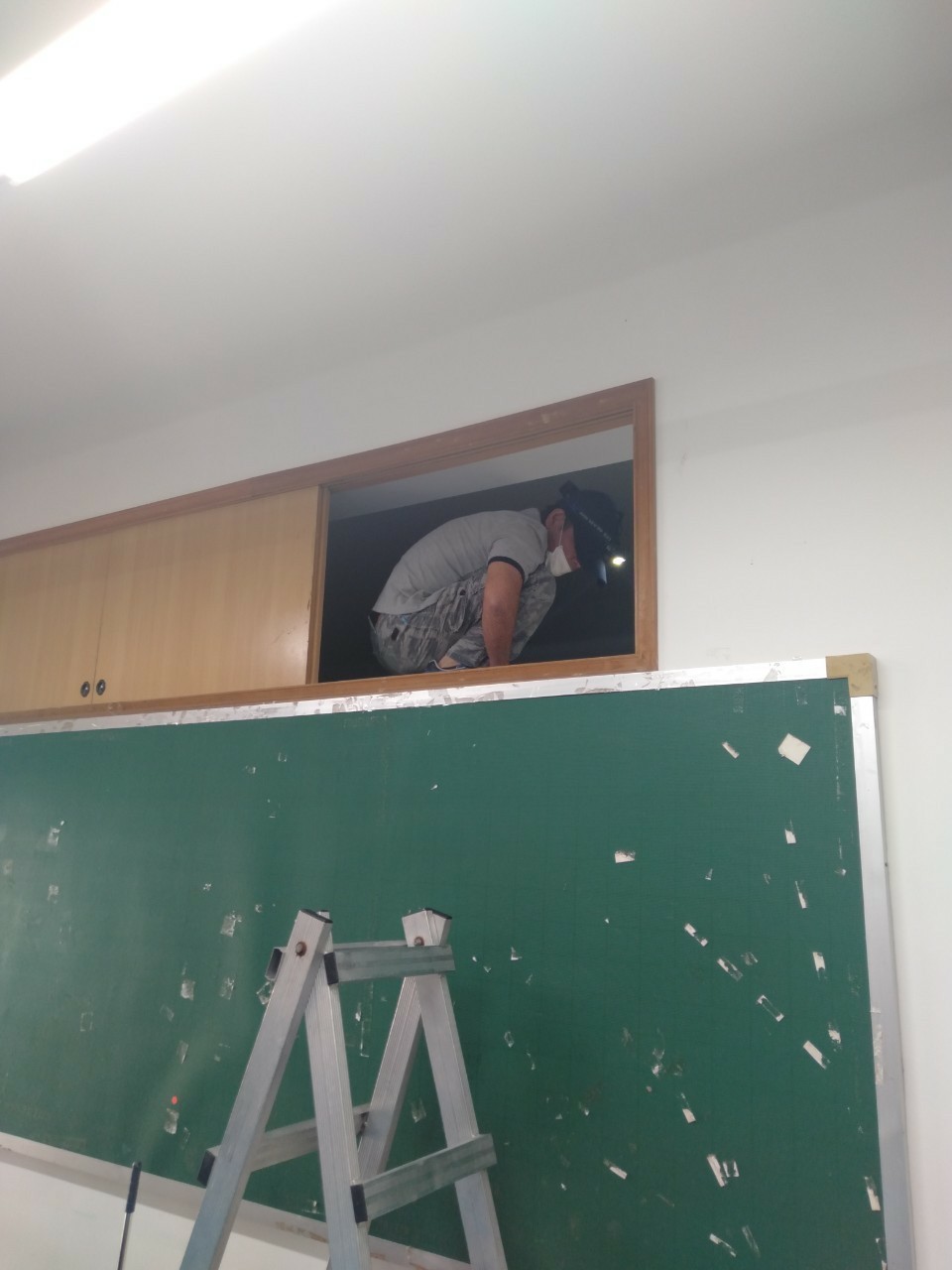 除白蟻案例&nbsp;