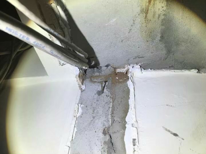 除白蟻案例&nbsp;