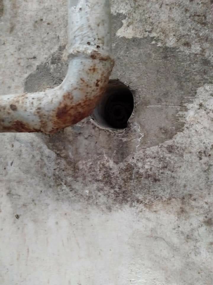 鼠害入侵點封補作業