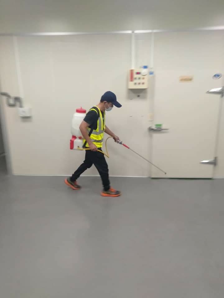 食品工廠蟑螂防治