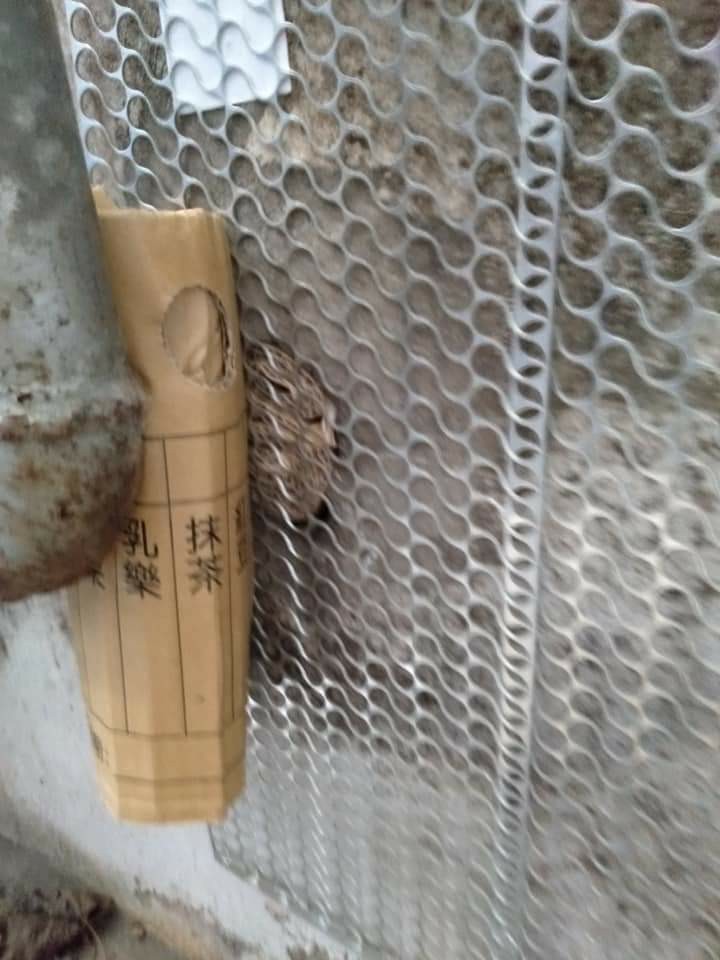 鼠害入侵點封補作業