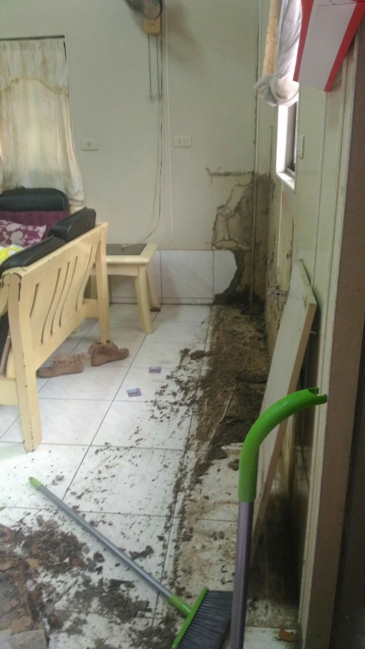 除白蟻案例&nbsp;