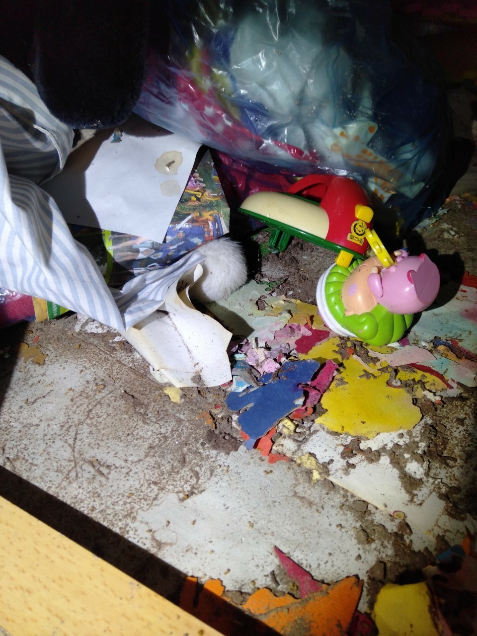 除白蟻案例&nbsp;