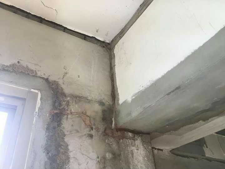 除白蟻案例&nbsp;