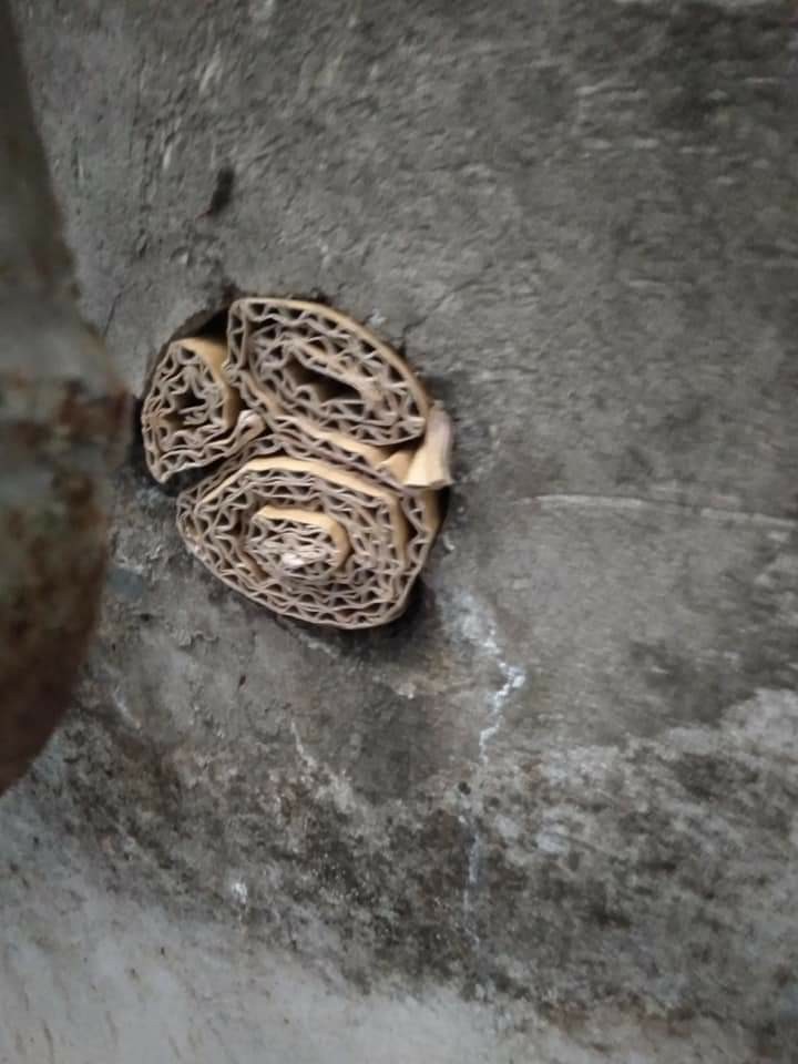 鼠害入侵點封補作業