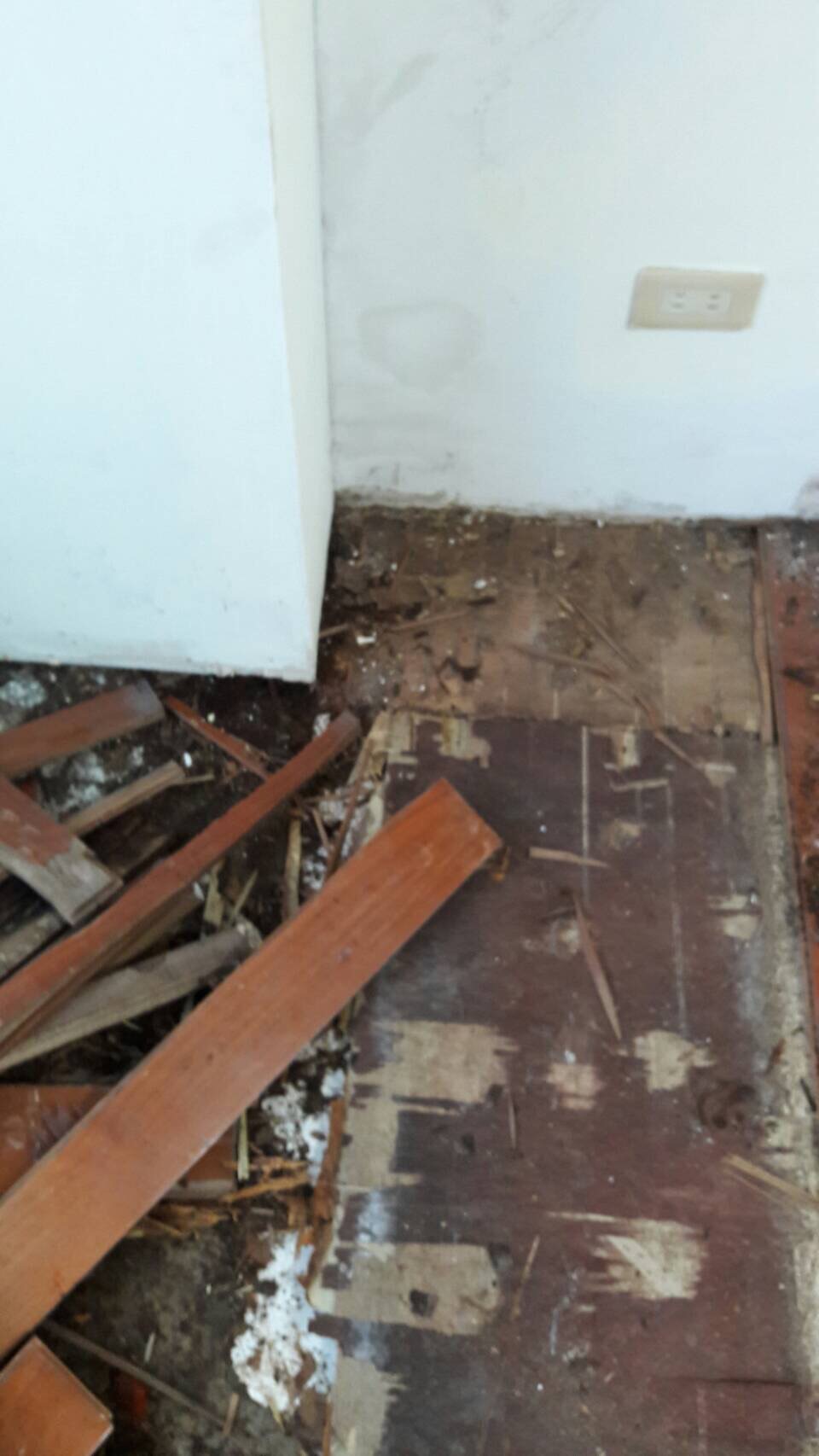 防潮木地板更新