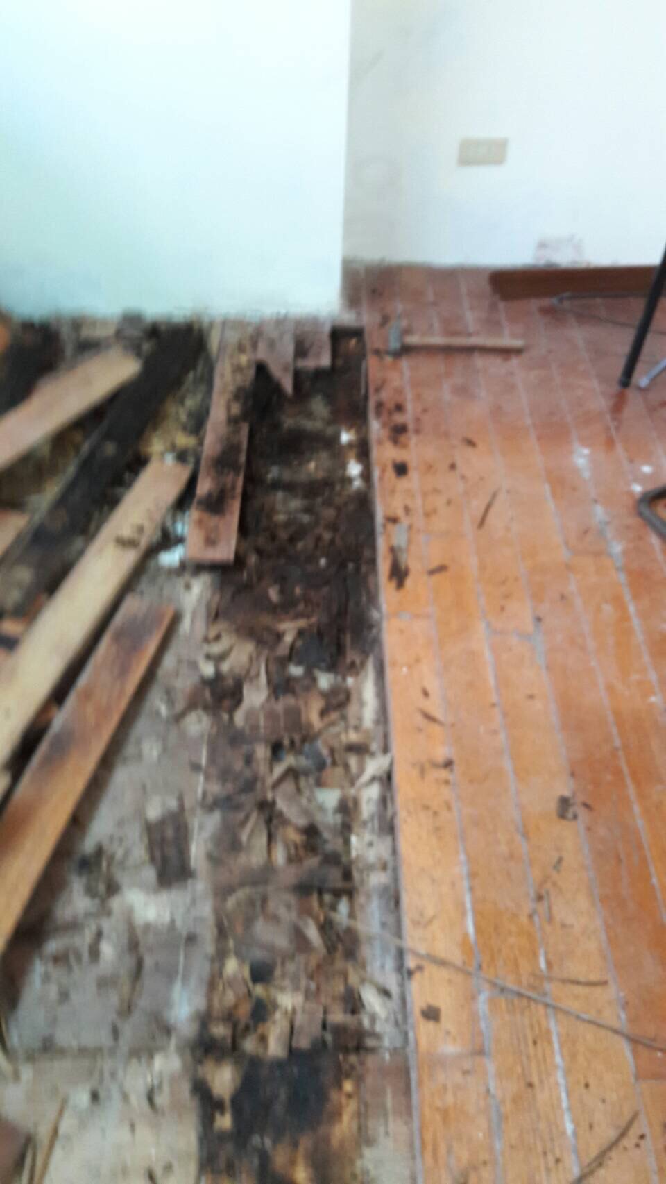 防潮木地板更新