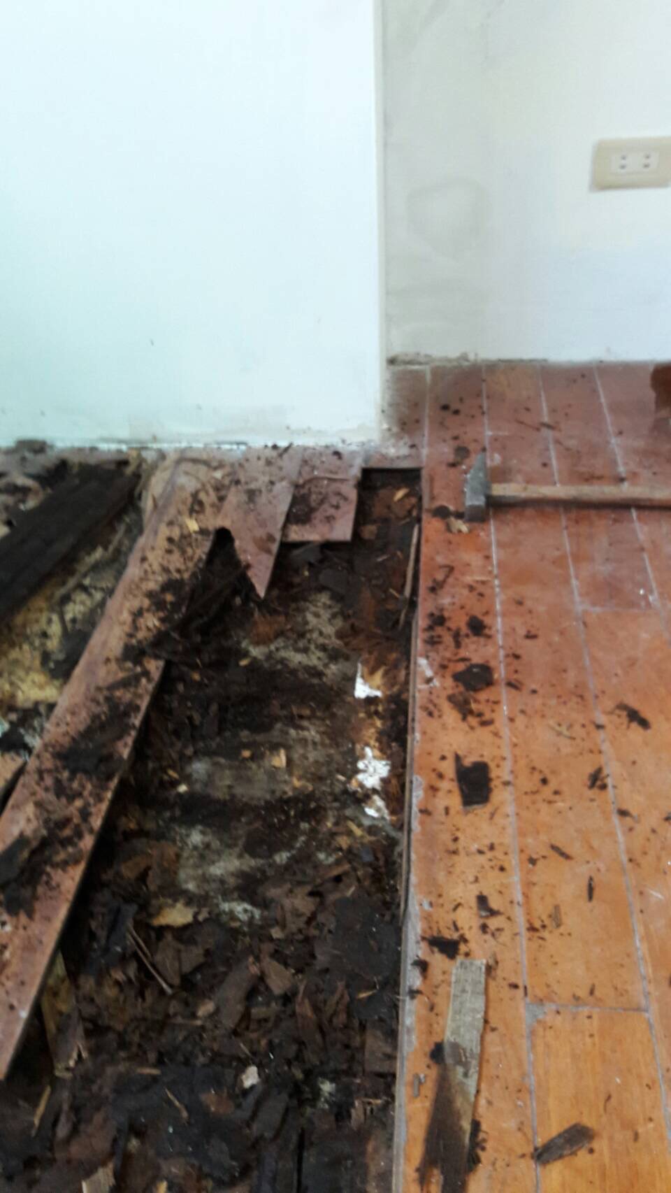 防潮木地板更新