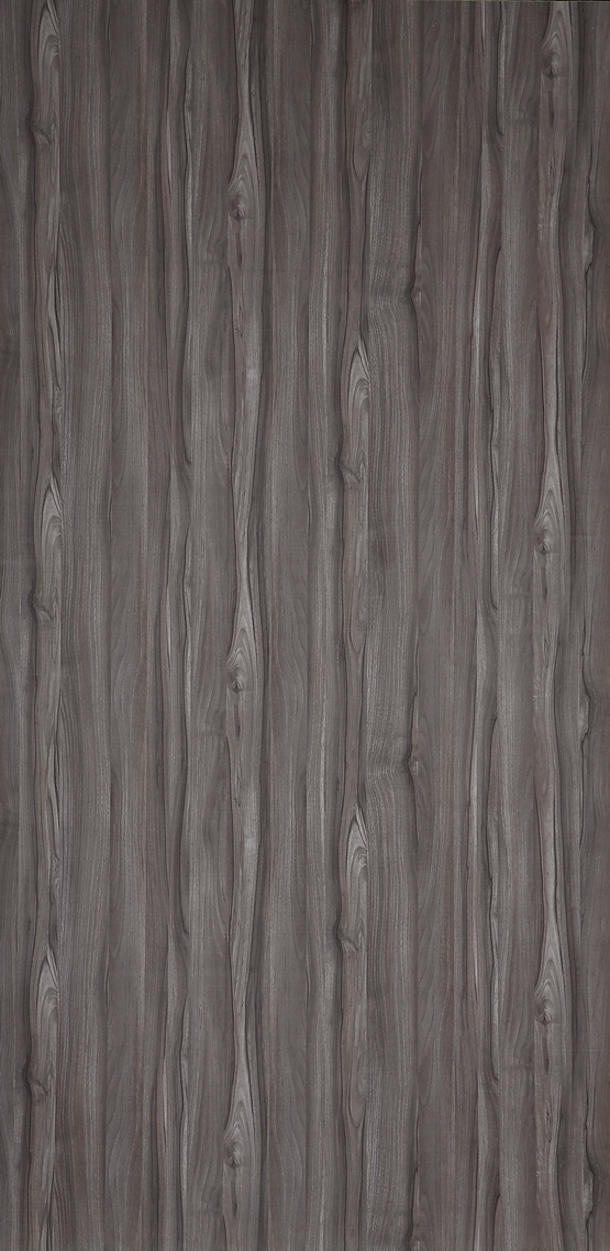 992-鋼刷貴族黑梧桐