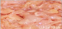 雞腿碎肉