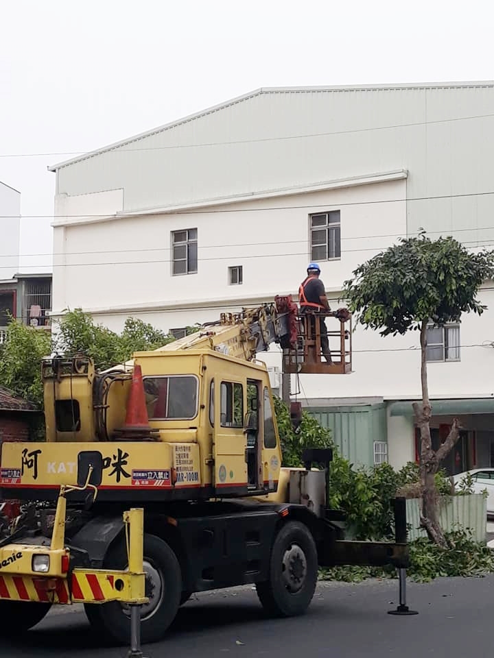 阿咪吊車-10噸小螃蟹鋸樹工程