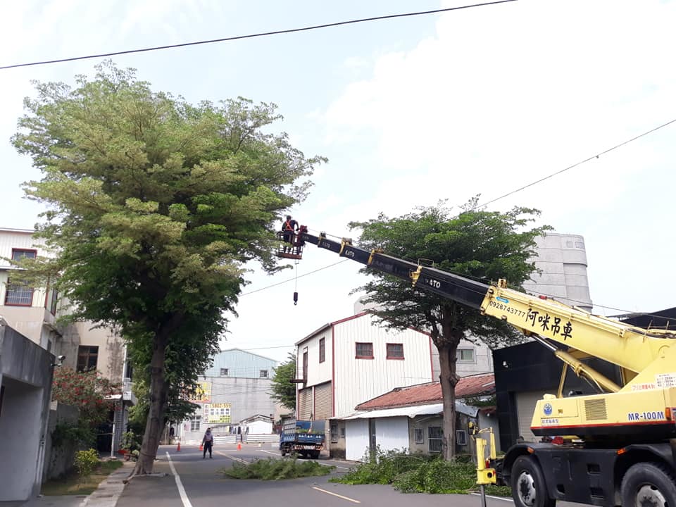 阿咪吊車-鋸樹工程