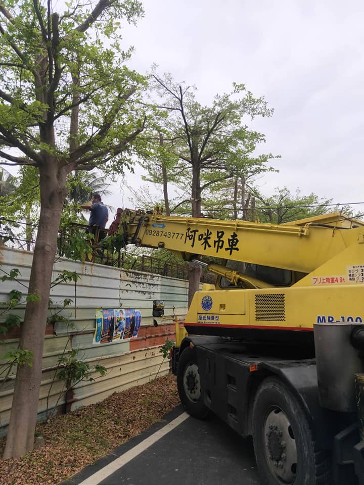 阿咪吊車-鋸樹工程