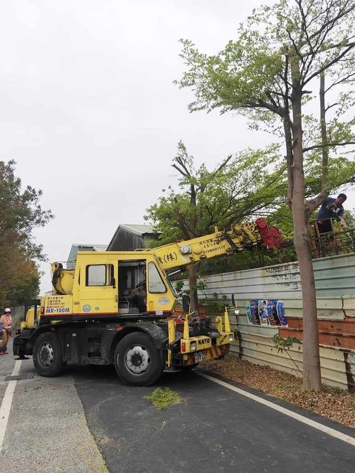 阿咪吊車-鋸樹工程
