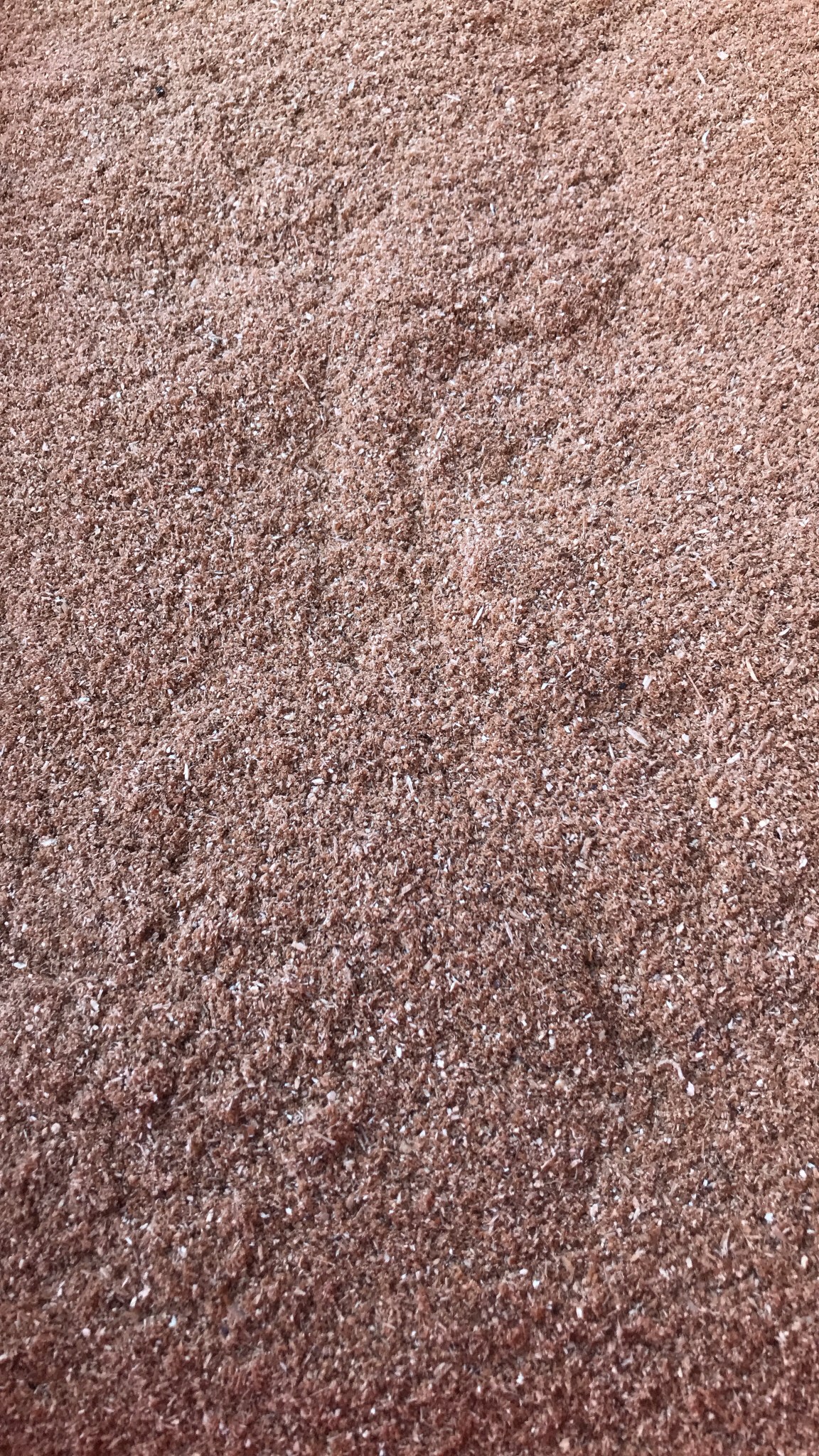 杉木屑【油漬木屑粉&bull;廢油木屑粉&bull;畜牧用木屑木粉】