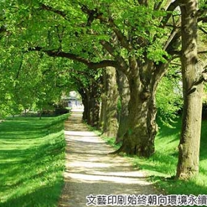 文藝彩色製版印刷股份有限公司-undefined