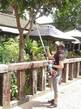 U-MO全新-日本三菱26CC長臂鏈鋸/長桿鏈鋸/竹竿鏈鋸機(修剪樹木/安全/好用)--免運費