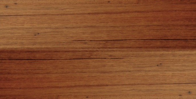 OC7529WC澳洲尤佳利木