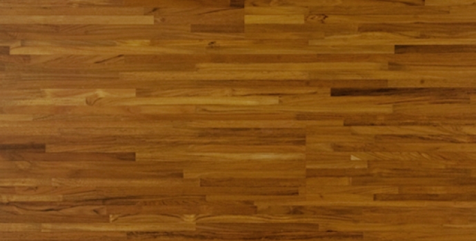 PMS1820金閣寺柚木