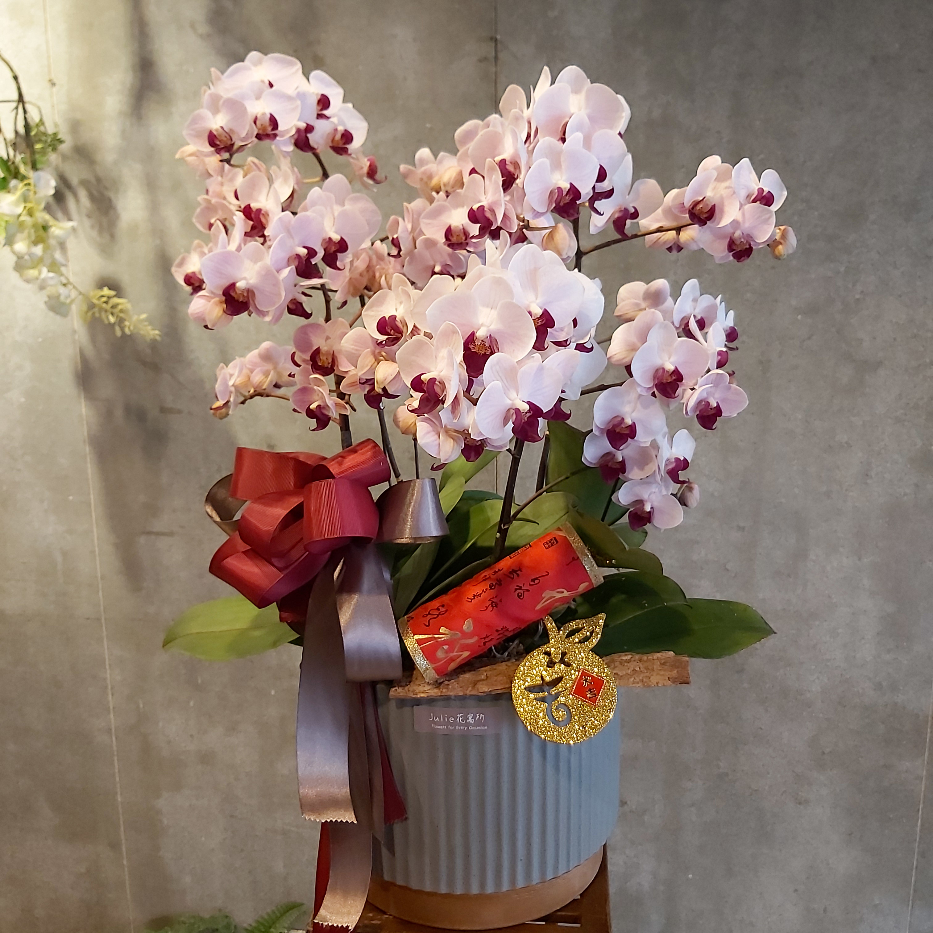 D009-雅緻蘭花