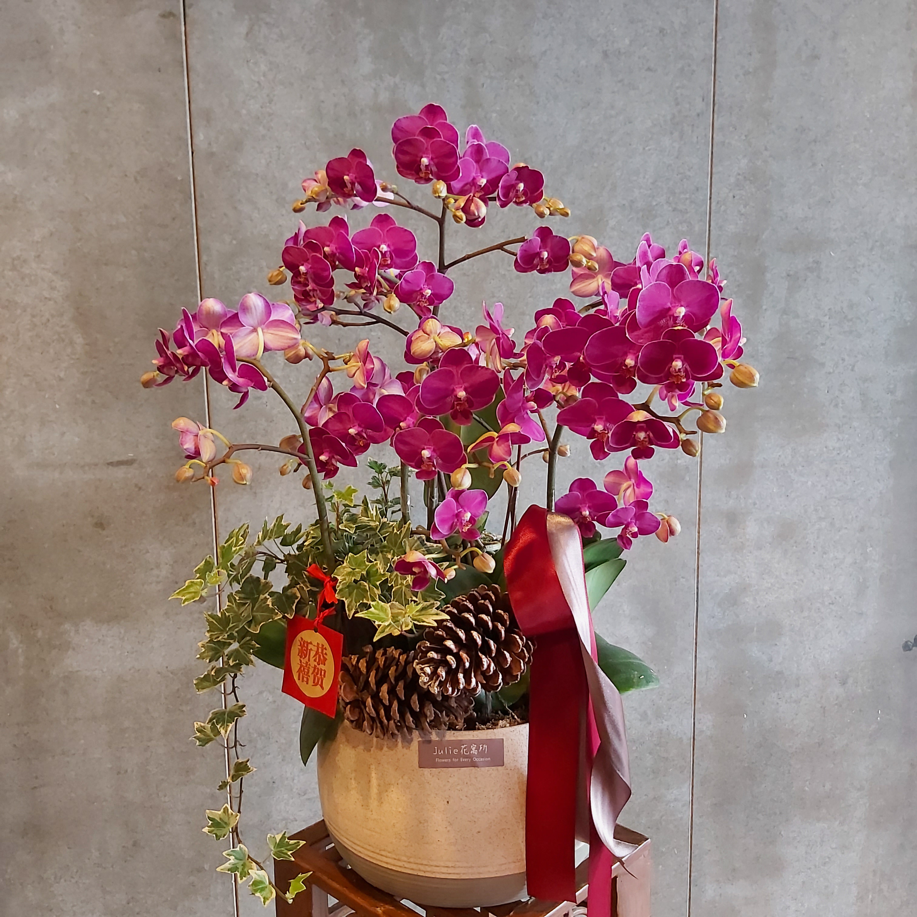 D004-雅緻蘭花
