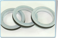 鐵氟龍(PTFE)產品展示--鐵氟龍橡膠