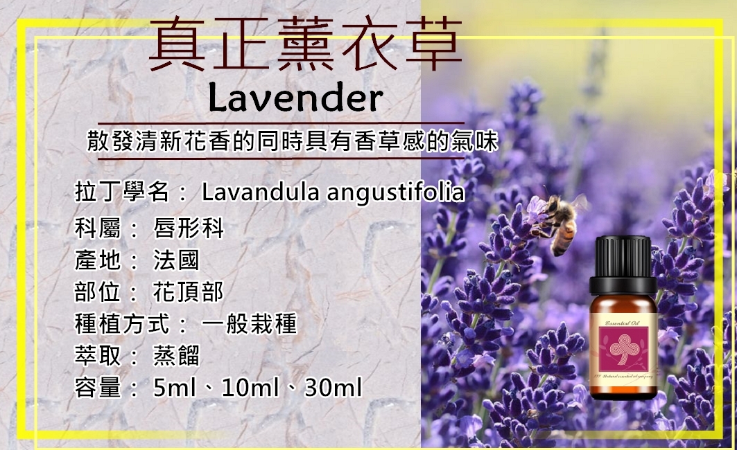 真正薰衣草