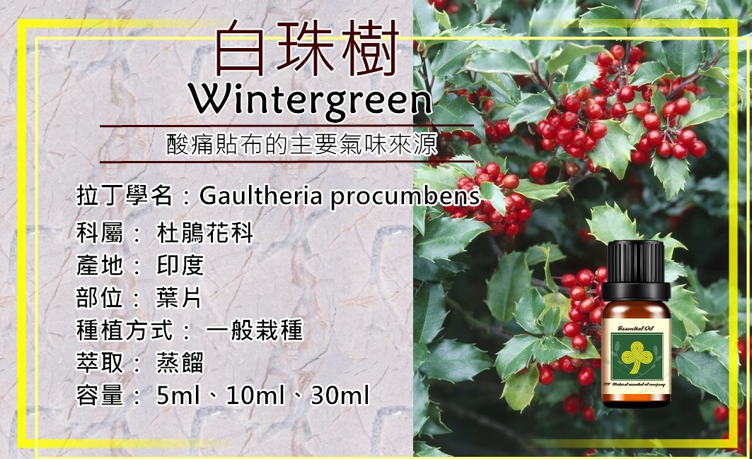 白珠樹