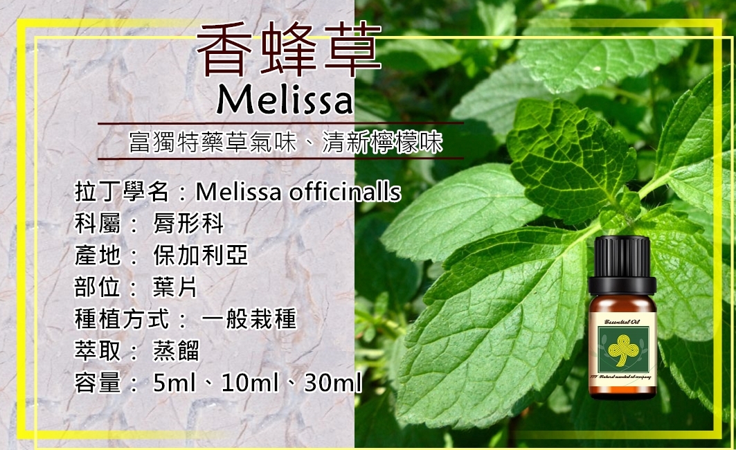 香蜂草