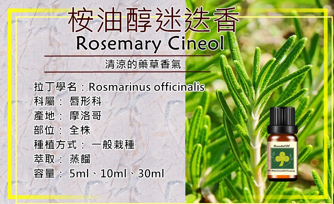 桉油醇迷迭香