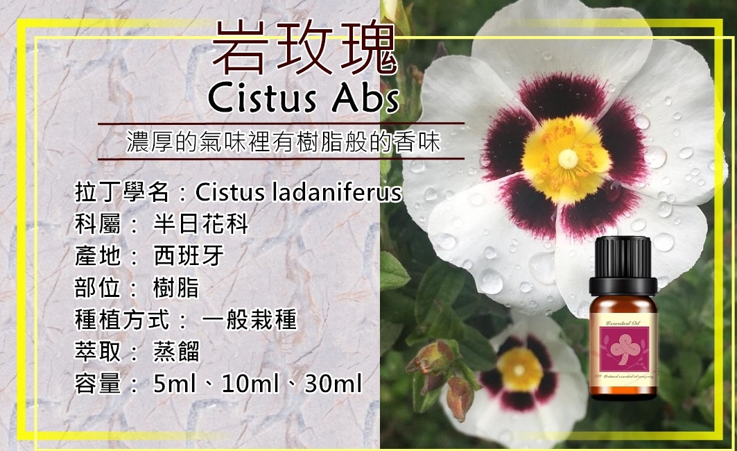 岩玫瑰