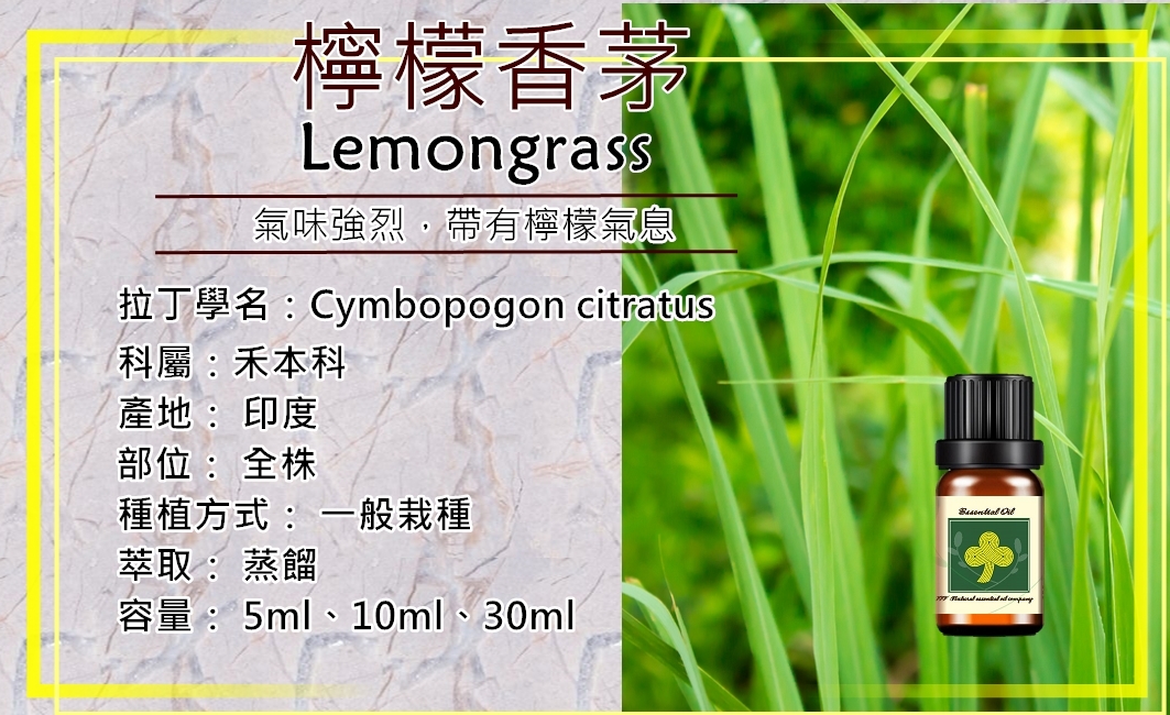 檸檬香茅