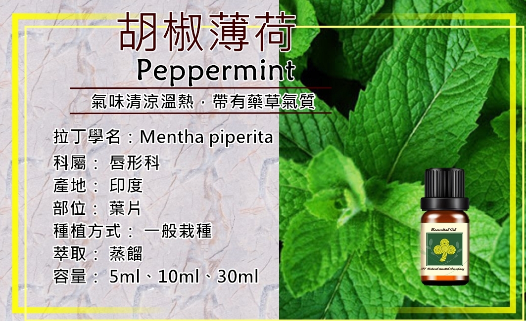 胡椒薄荷