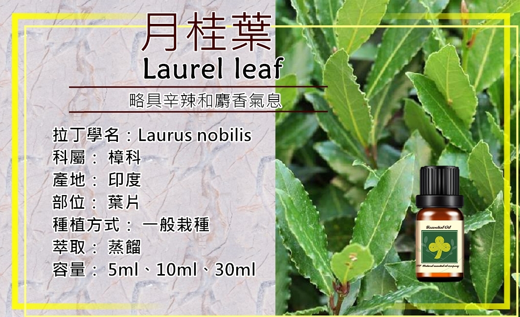 月桂葉