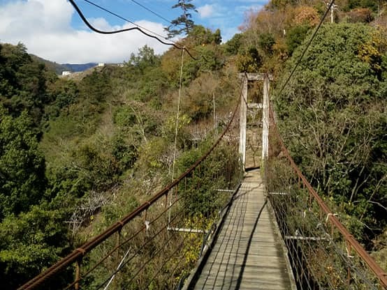 49592350_2448193118541501_4744951058256625664_n