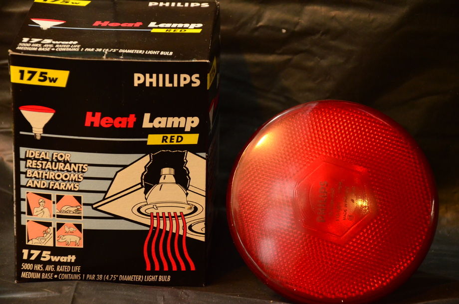 飛利浦紅外線溫熱燈泡