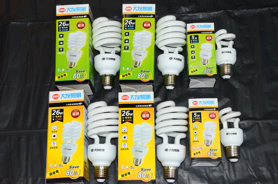 大友省電燈泡