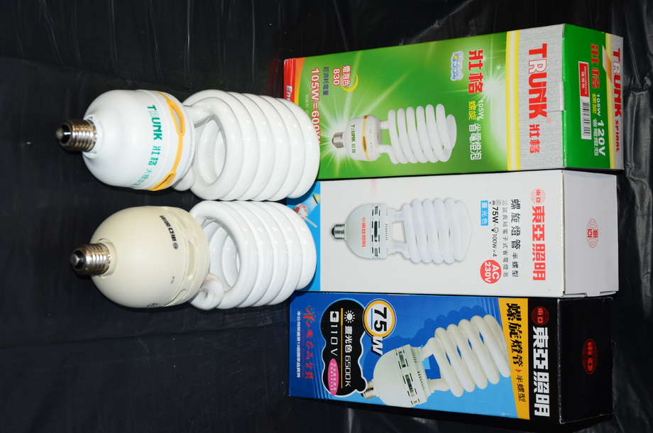 壯格105W東亞照明75W省電燈泡