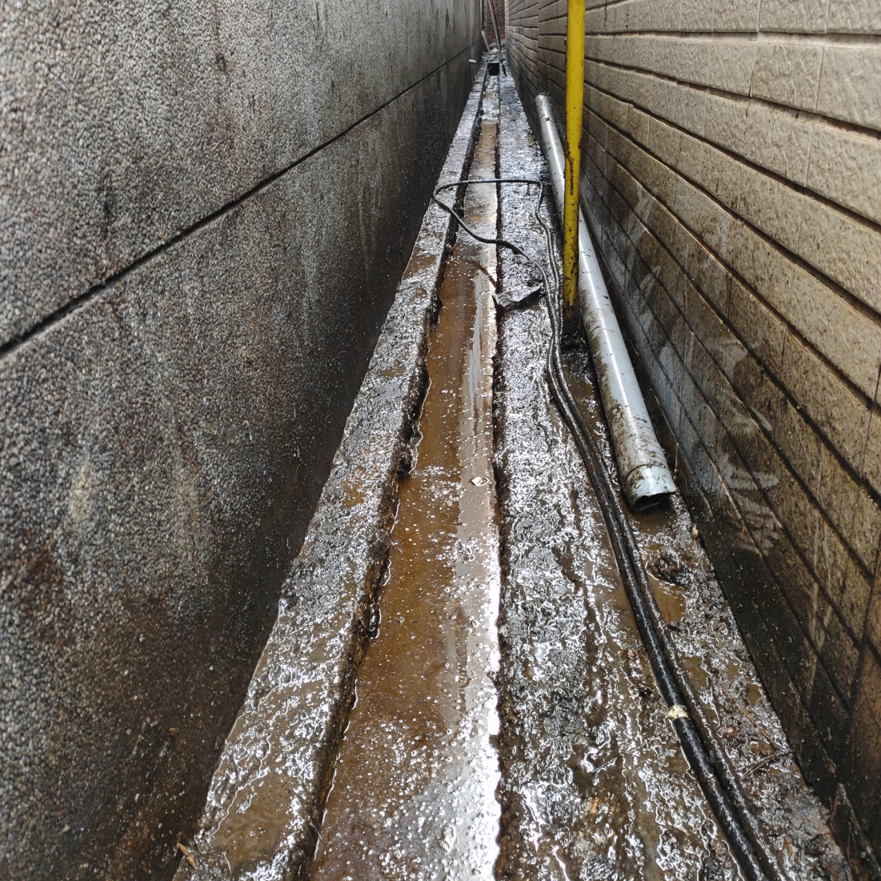 歸仁餐飲業清水溝