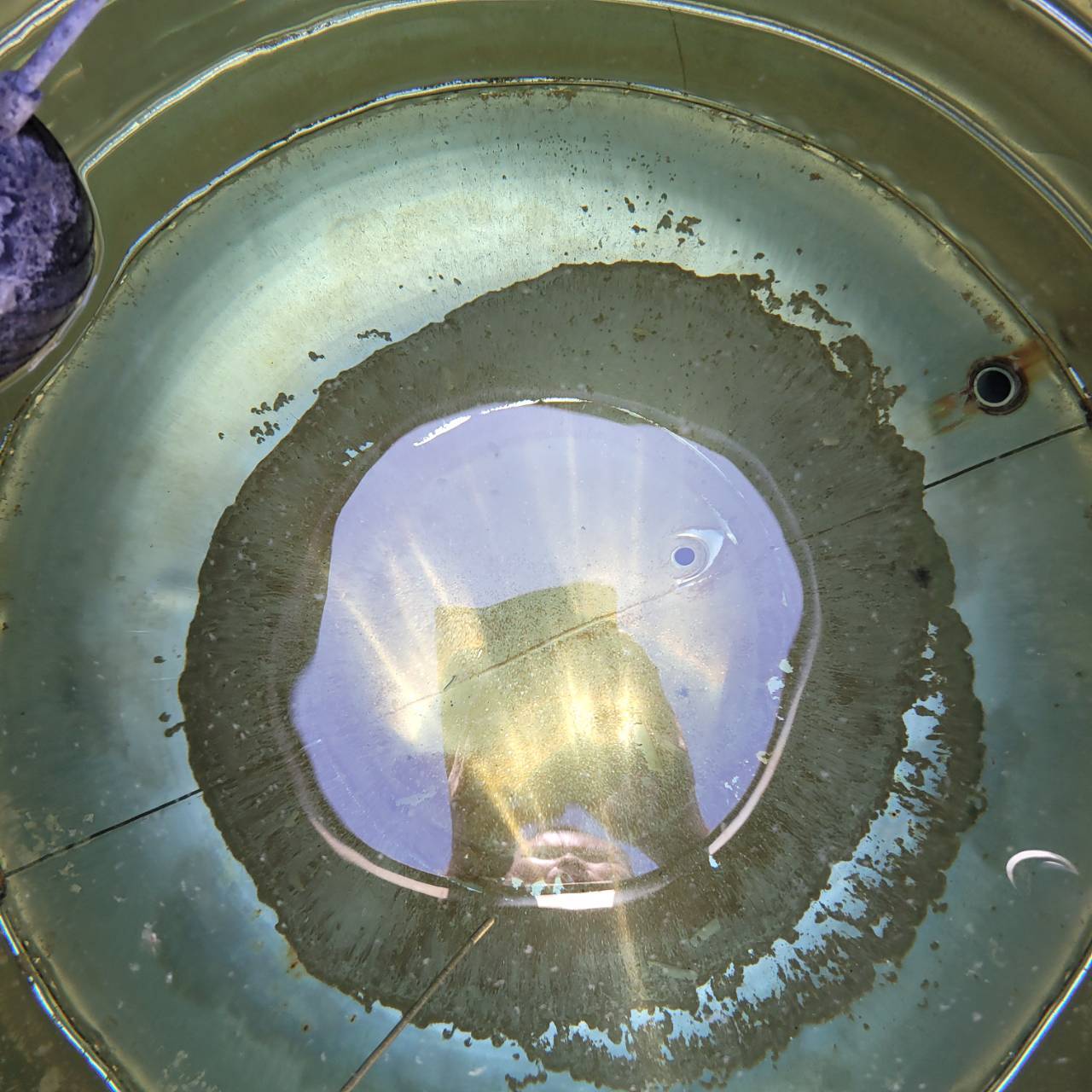 公司清洗消毒水塔